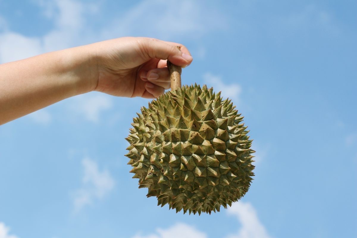 durian-odor-nutrition